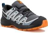 Salomon XA PRO V8 WP
