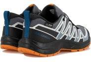 Salomon XA PRO V8 WP