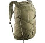 Salomon XT 25