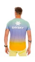 Saysky Reactive Flow