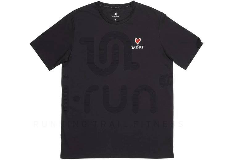 Saysky Statement Motion 