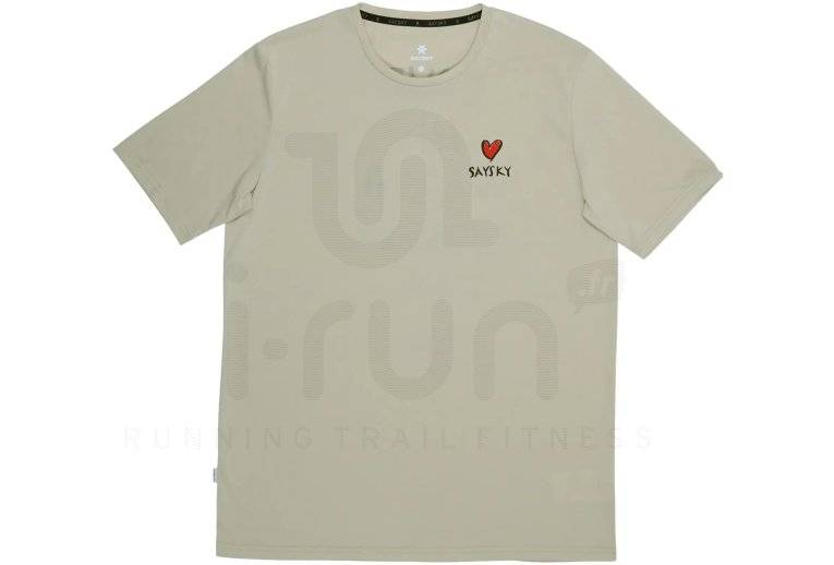 Saysky Statement Motion 