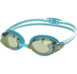 Speedo Vanquisher 3.0 Mirrored