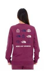 The North Face Outdoor Graphic